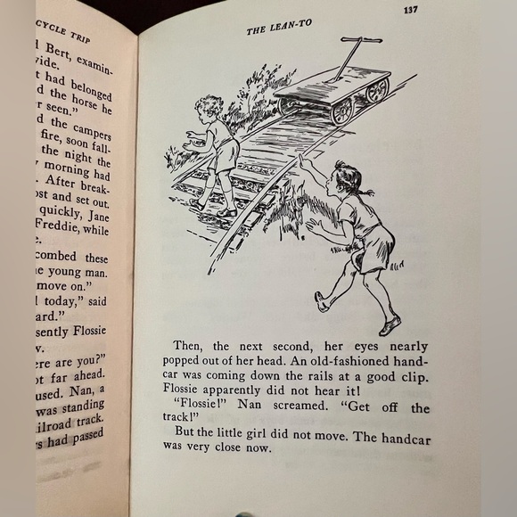 Bobbsey Twins Hardcover Books Lot of 3 1950-60 #4-15-48 Bicycle Trip County Fair - Picture 9 of 16